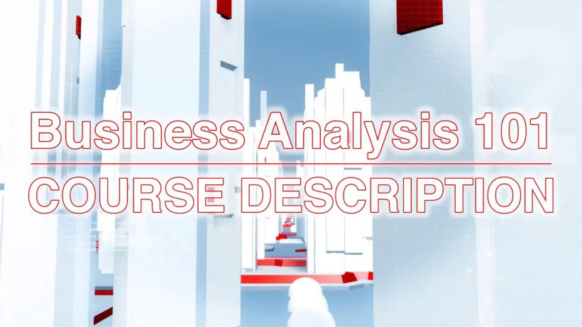 View Business Analysis Video Demonstration